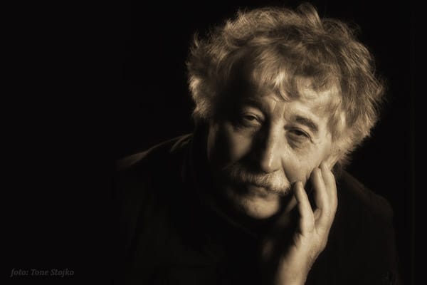 SINAN GUDŽEVIĆ